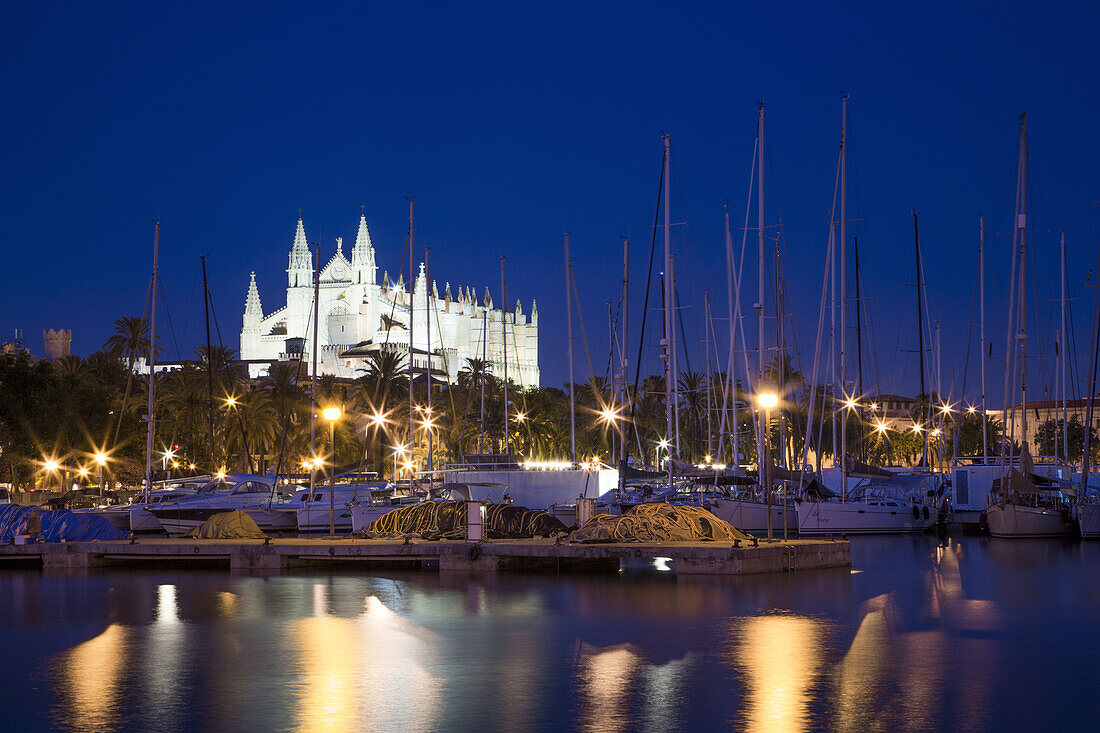 Sailboats in marina and illuminated La Seu Palma Cathedral at night, Palma, Mallorca, Balearic Islands, Spain