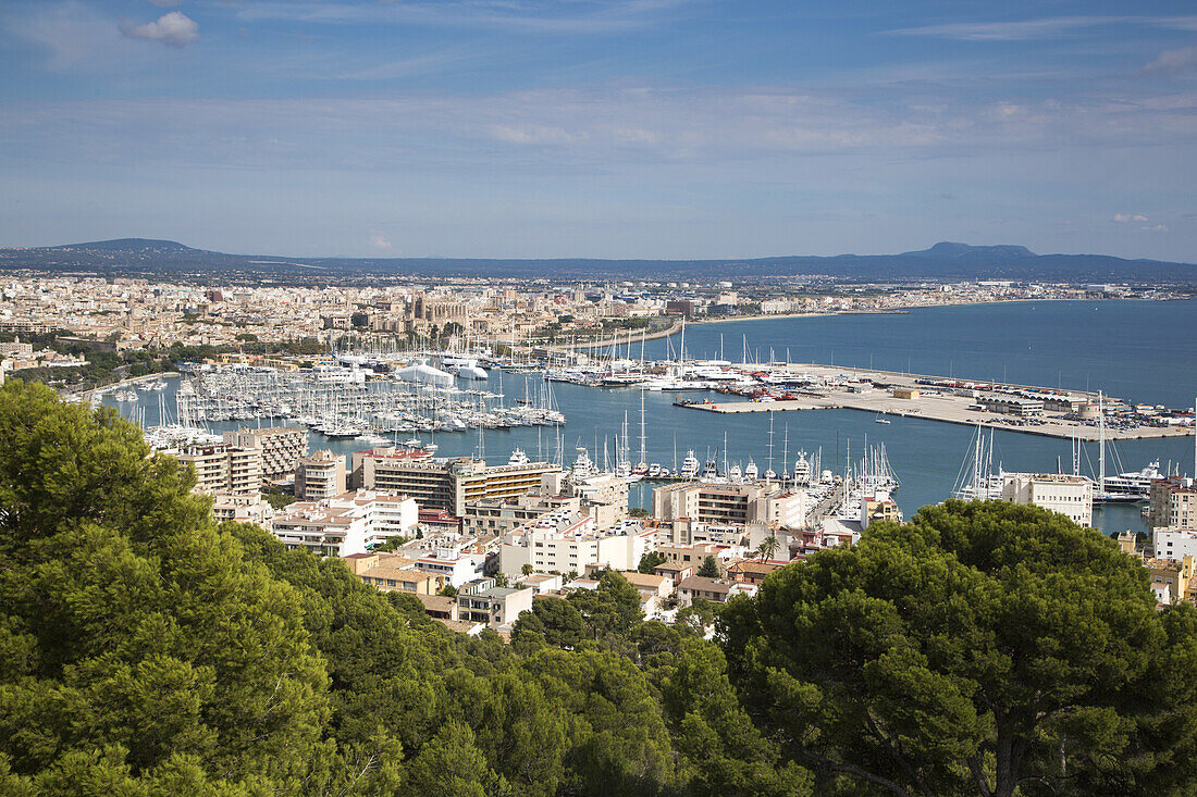 Overhead of marina and city from Castell de Bellver, Palma, Mallorca, Balearic Islands, Spain