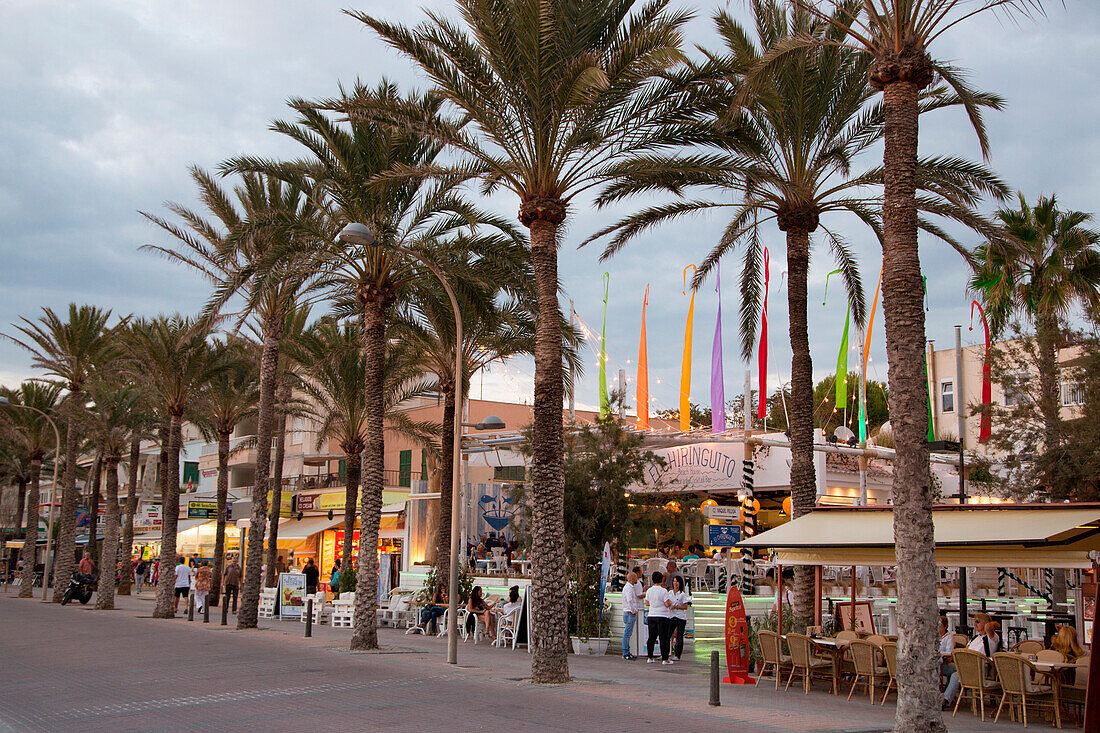 Palm trees and restaurants at Playa s'Arenal beach at sunset, s'Arenal, near Palma, Mallorca, Balearic Islands, Spain