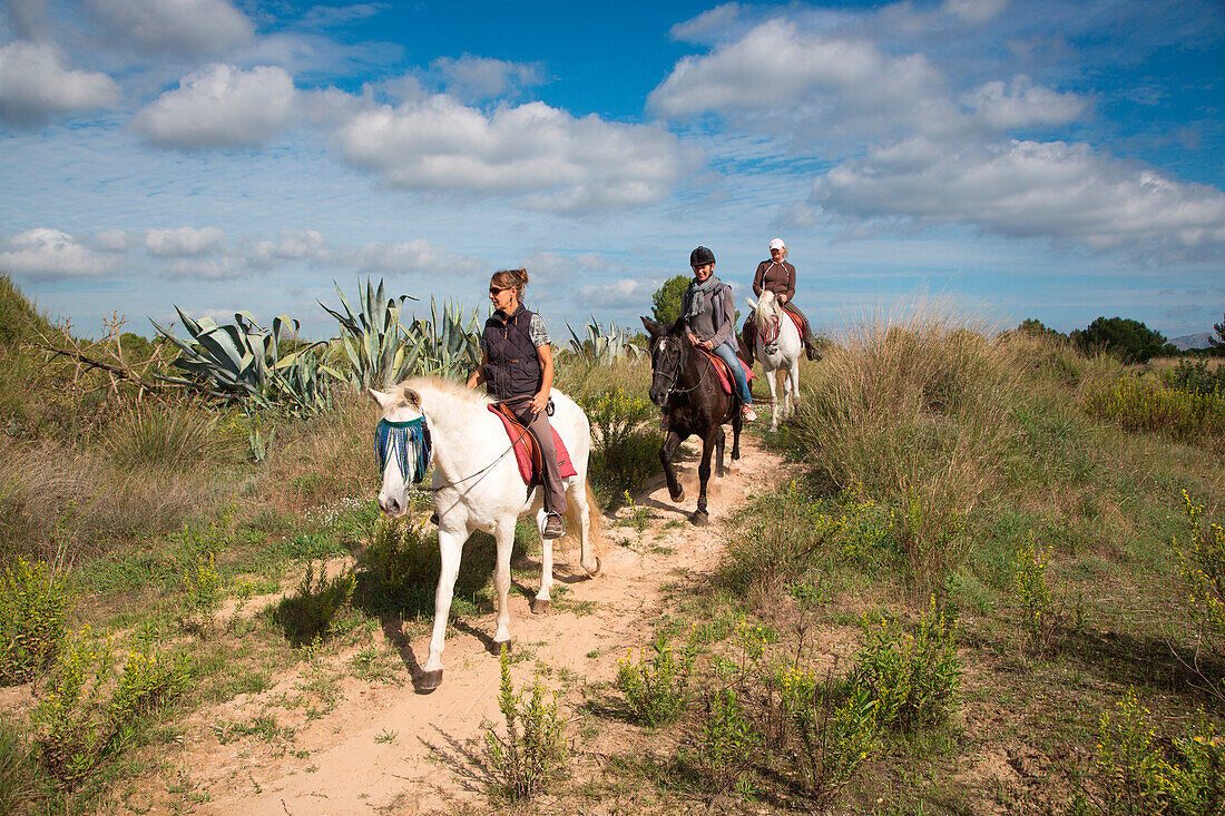 Menschen reiten auf Pferden durch trockene Landschaft mit Agaven im S'Albufera Natural Park als Teil eines Reitausflugs vom Finca Predio Son Serra Hotel, nahe Can Picafort, Mallorca, Balearen, Spanien