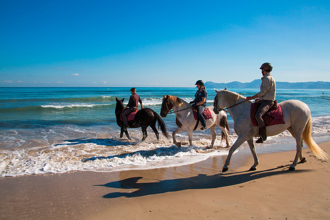 Menschen reiten auf Pferden ins Wasser am Muro Strand als Teil eines Reitausflugs vom Finca Predio Son Serra Hotel, nahe Can Picafort, Mallorca, Balearen, Spanien