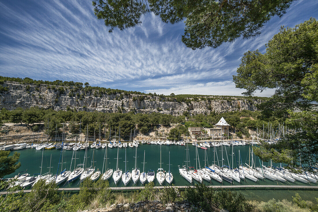 Marona, Port Miou, Calanque, Bouche du Rhone, France