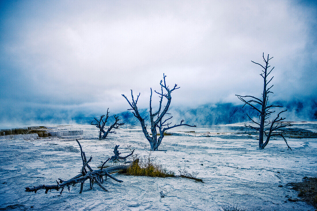 Desolate cold landscape, Yellowstone National Park, Wyoming, United States