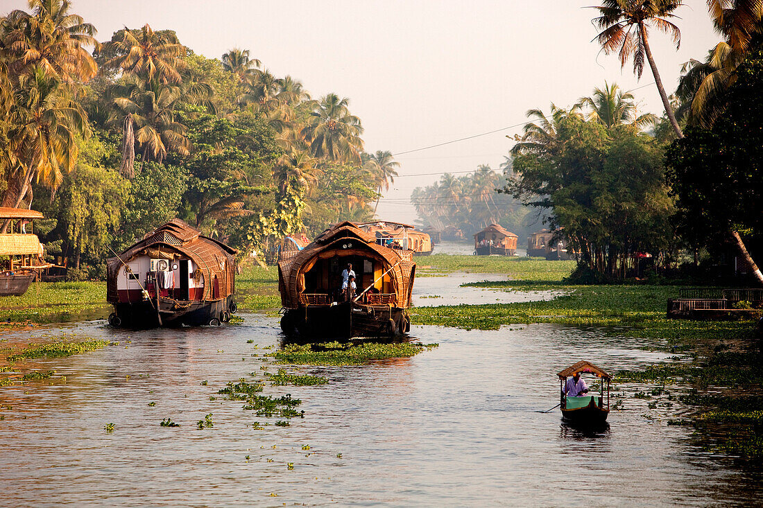 India, Kerala State, Allepey, the backwaters, houseboats on the canals