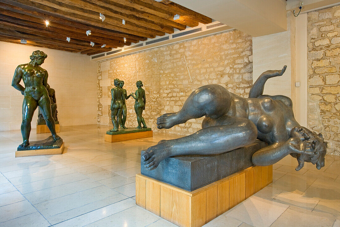 France, Paris, Fondation Dina Vierny-Musee Maillol