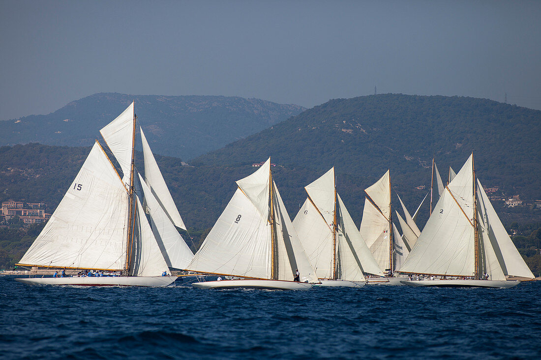 'Start of the Classic Sailing Regatta ''Les Voiles de St. Tropez'', St. Tropez, Côte d'Azur, France'