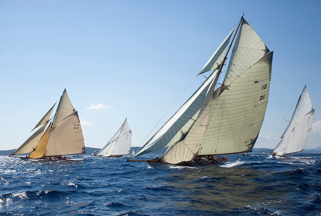 'Start zur Klassiker-Segelregatta ''Les Voiles de St. Tropez'', St. Tropez, Côte d'Azur, Frankreich'