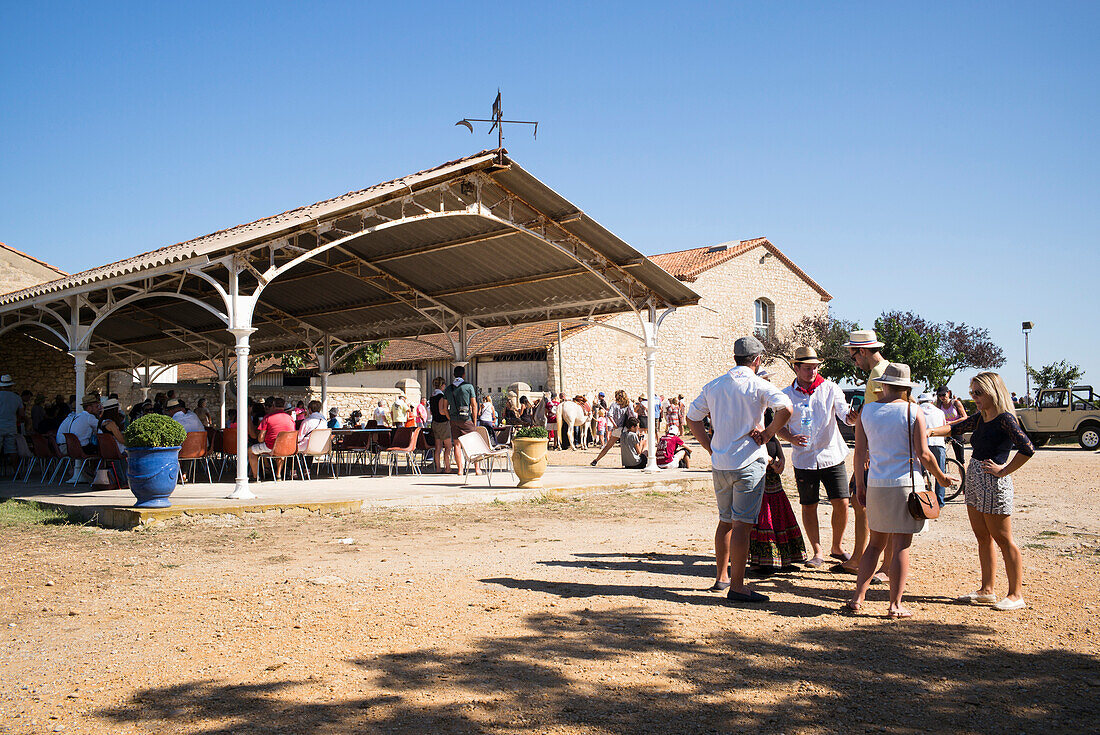 Manade celebration, Manade Fangouse, Lattes, nearby Montpellier, Hérault, Languedoc-Roussillon, France