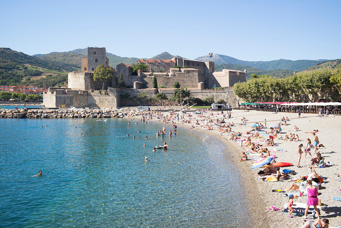 Castle and beach of Collioure, Côte Vermeille, Mediterranean Sea, Pyrénées Orientales, Occitanie, Languedoc Roussillon, France