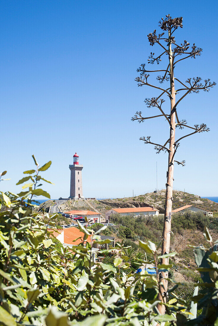 Leuchtturm Cap Béar, Côte Vermeille, Mittelmeer, Pyrénées Orientales, Occitanie, Languedoc-Roussillon, Frankreich