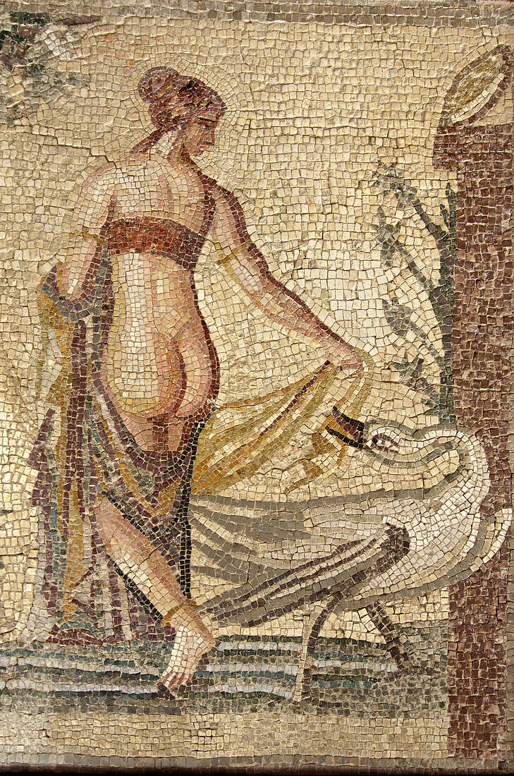Leda and the swan in the museum in Old Paphos, mosaic in the mus