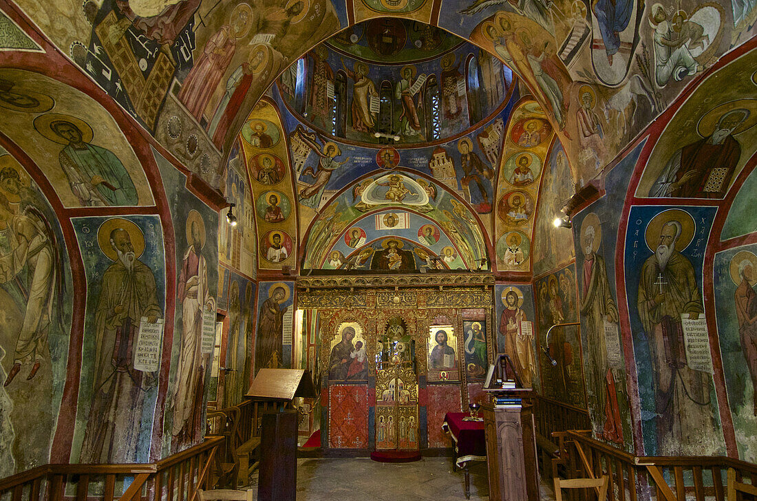 Panagia tou Arakou in Lagoudhera, Painted Church in the Troödos