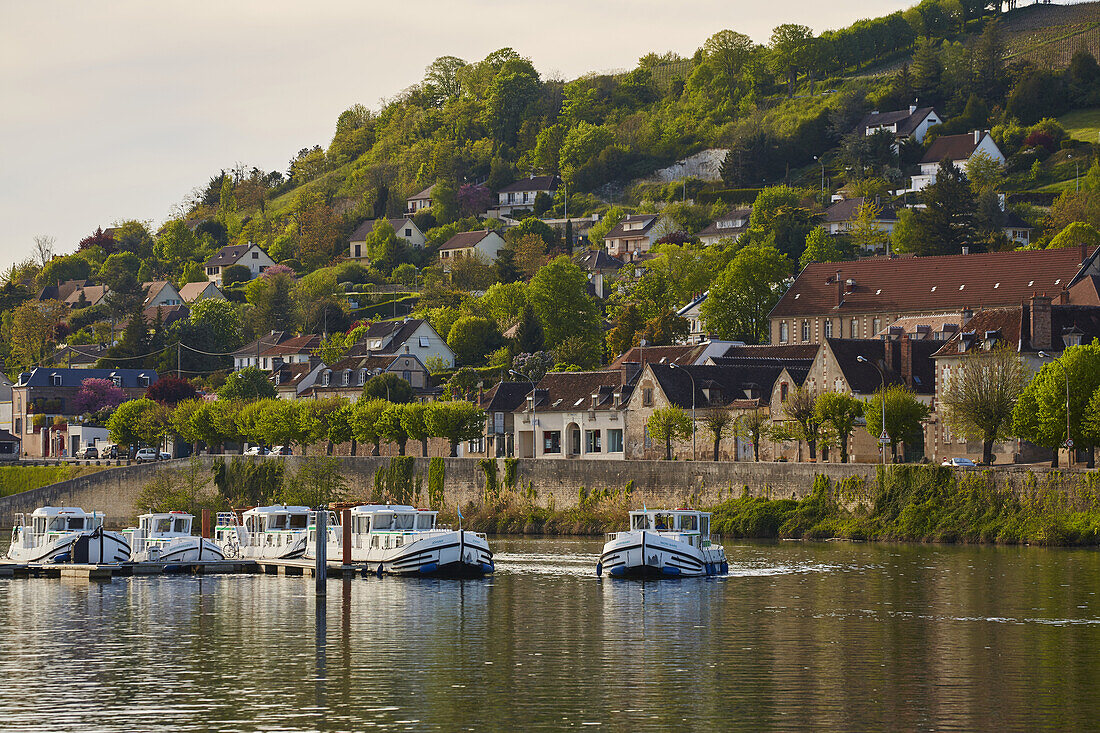 View at the Port de Plaisance and Joigny , Yonne , Departement Yonne , Burgundy , France , Europe