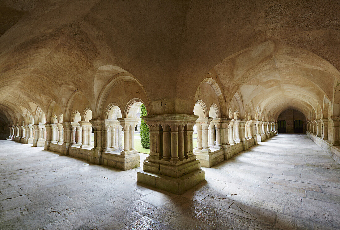 Cloister of Abbaye de Fontenay near Montbard , Canal de Bourgogne , Departement Côte-d'Or , Burgundy , France , Europe