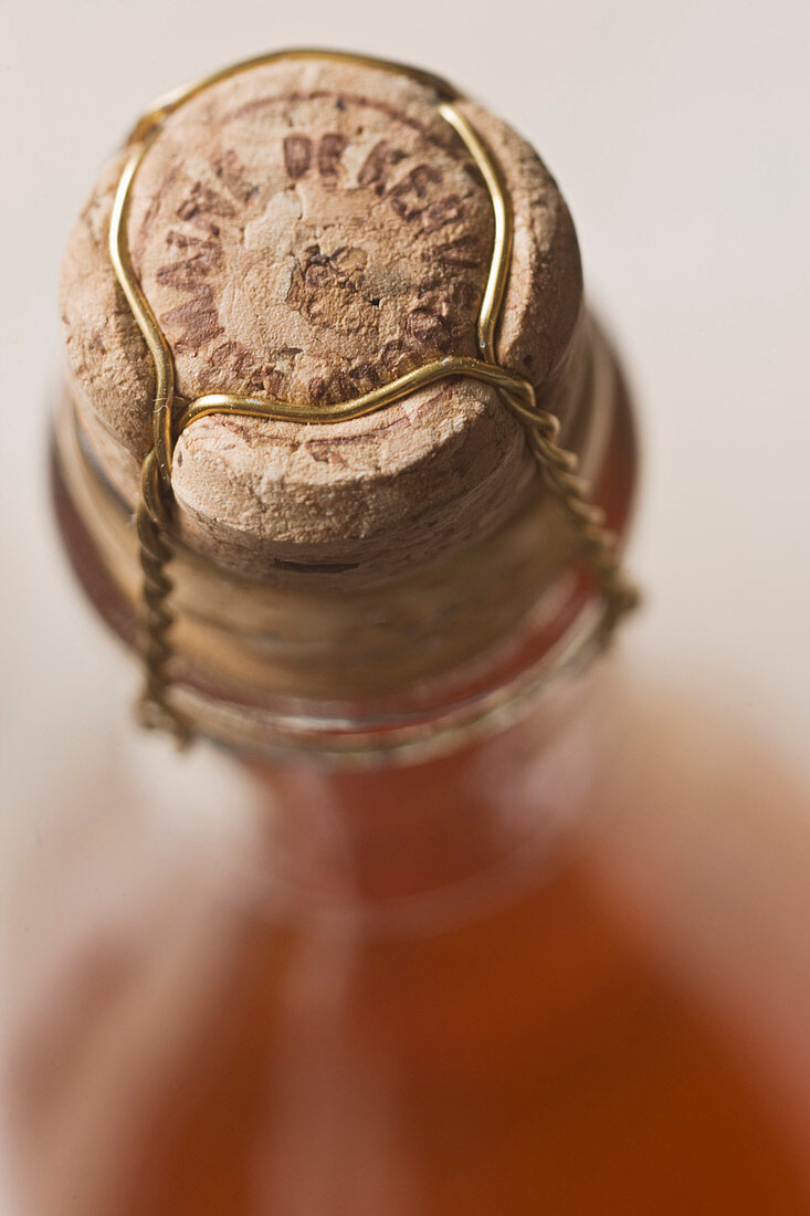 France, Finistere, Guimaec, cider from Kerveguen domain, owner Eric Baron, close up on the cork of a bottle