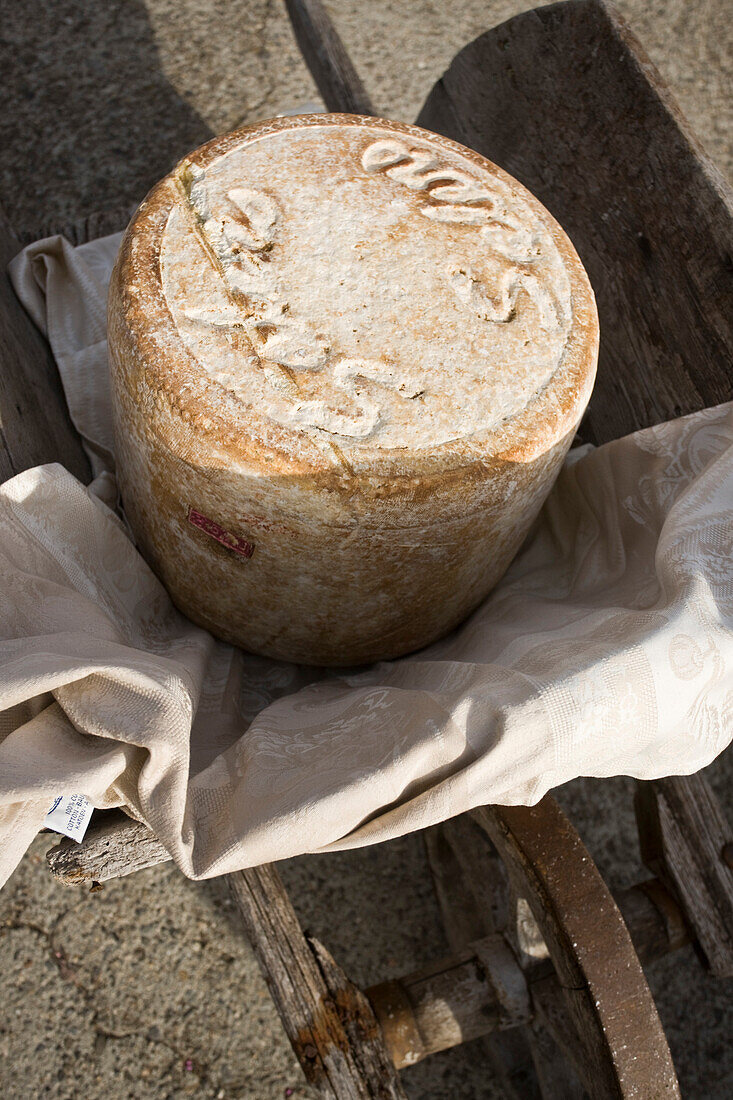France, Cantal, Pailherols, local speciality of Fourme, cheese Cantal Salers AOC