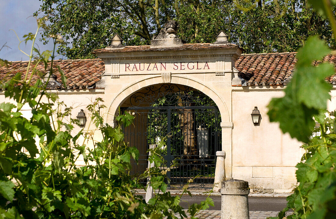 France, Gironde, Margaux, Bordeaux vineyard and Medoc, Chateau Rauzan Segla and vineyard, Second Great Growths (Bordeaux vintage wine classification of 1855), AOC Margaux, owned by Chanel