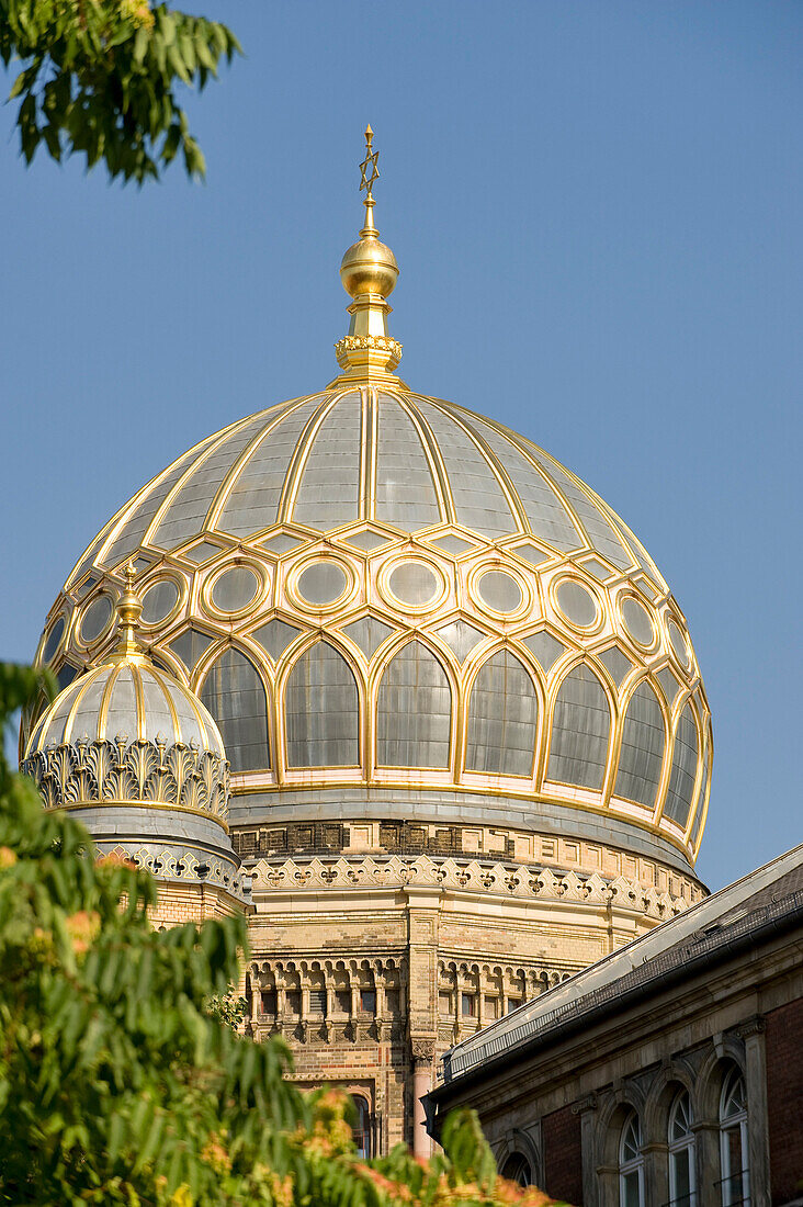 Germany, Berlin, Scheunenviertel district, the dome of the new synagogue