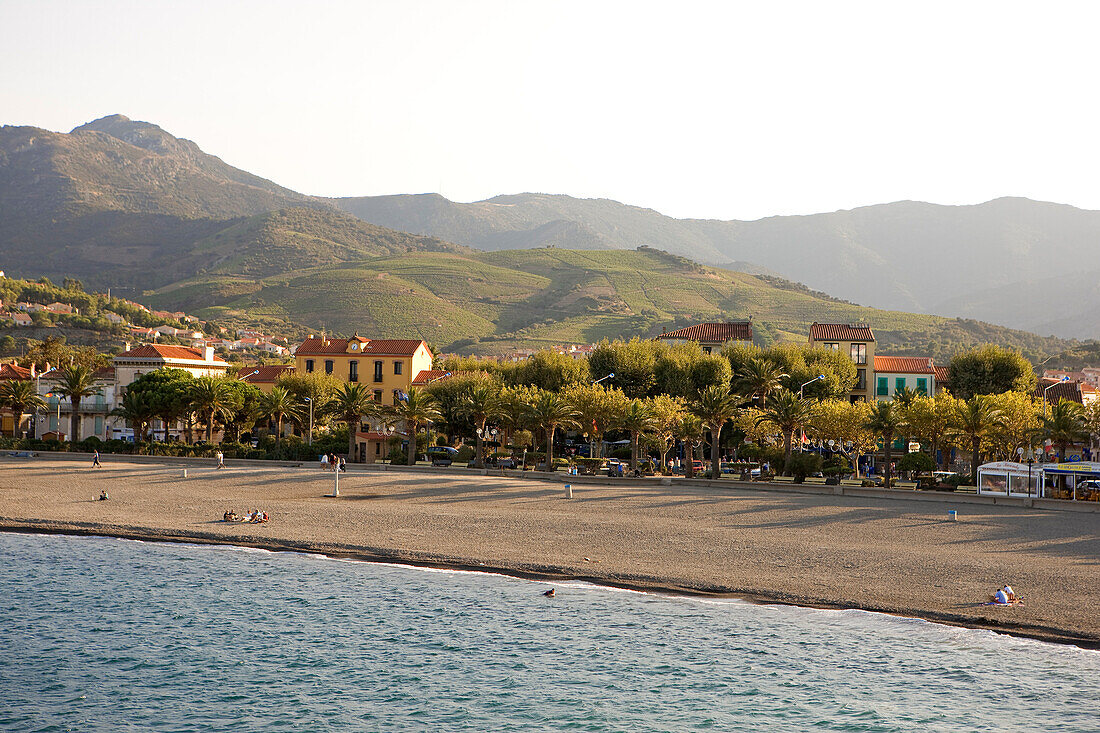 Frankreich, Pyrénées Orientales, Côte Vermeille (The Ruby Coast), Banyuls sur Mer