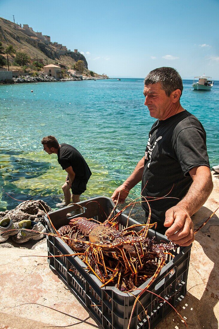 fishermen landing freshly caught lobster at Limeni, on the Mani peninsular Laconia, Southern Peloponnese, Greece