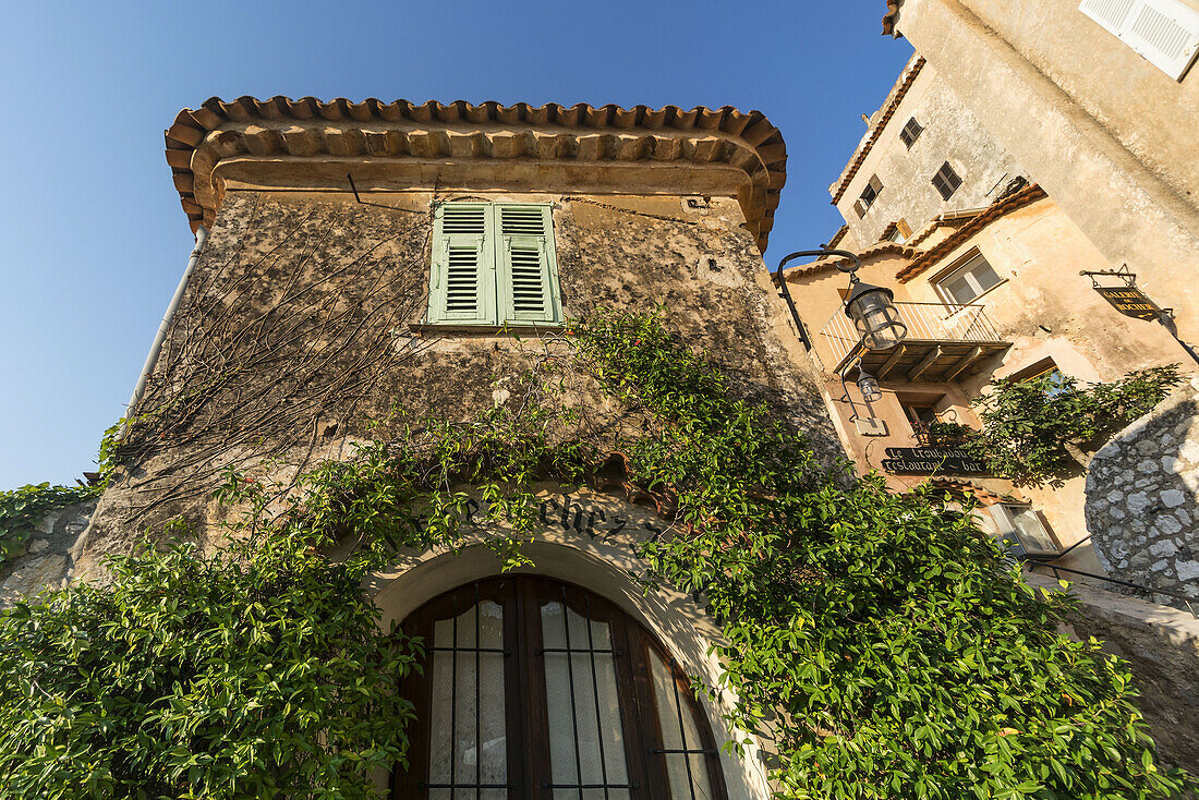 Jasmine covered entryway, Eze Village, Historic town, Medieval Village, Eze, Provence-Alpes-Cote d’Azur, France