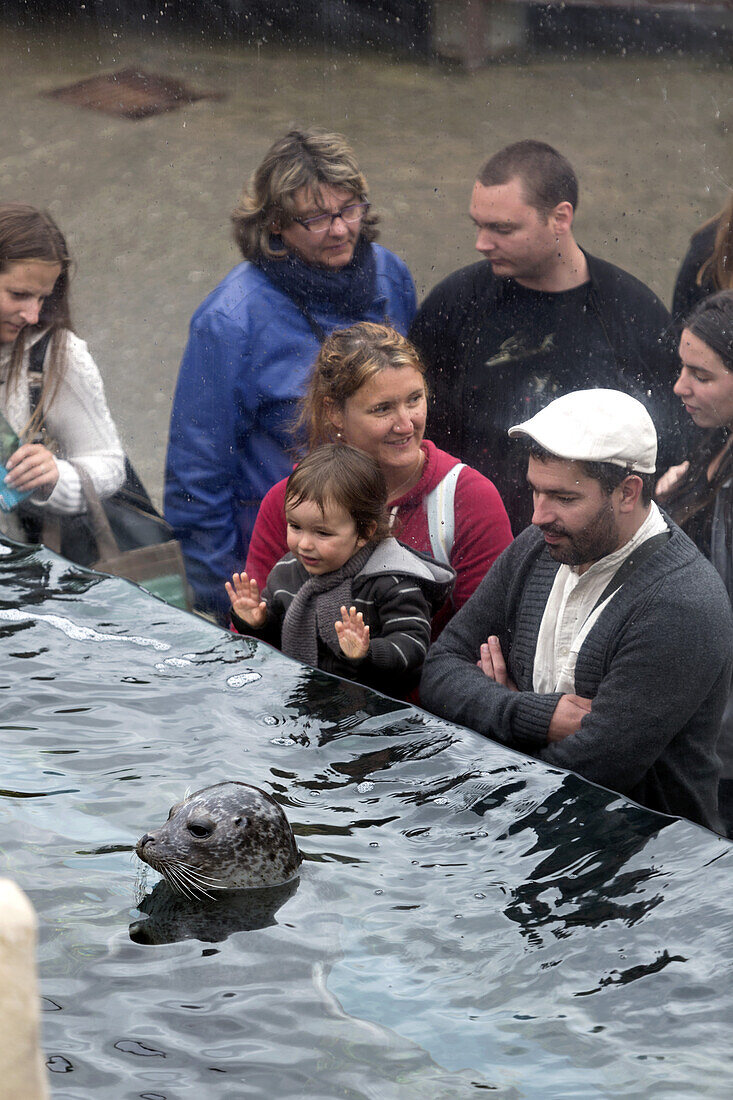 Océanopolis seaquarium, Brest, Bretagne, France