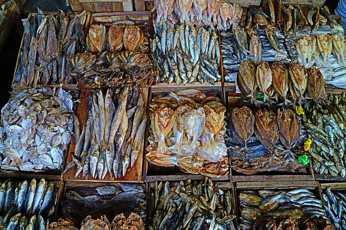 Dried fish in Gensan market, General Santos   Mindanao