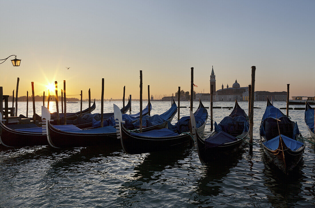Gondolas at Piazza San Marco by dawn, Venice, Italy