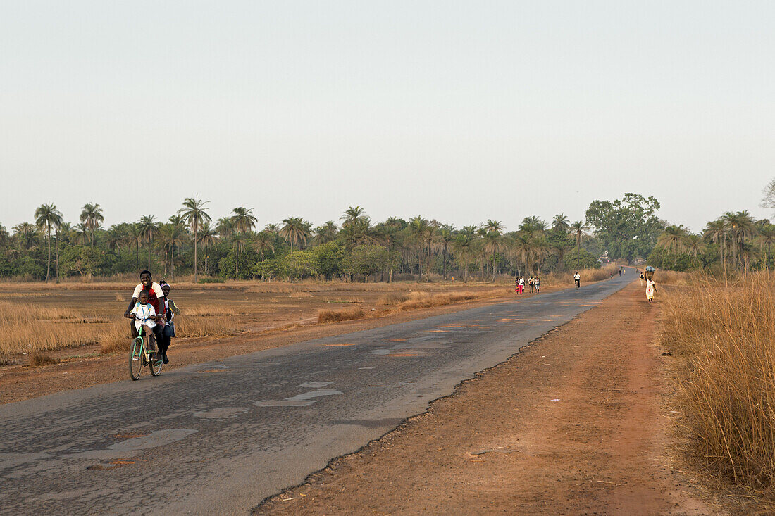 Savannah near Ingoré, Guinea-Bissau, West Africa