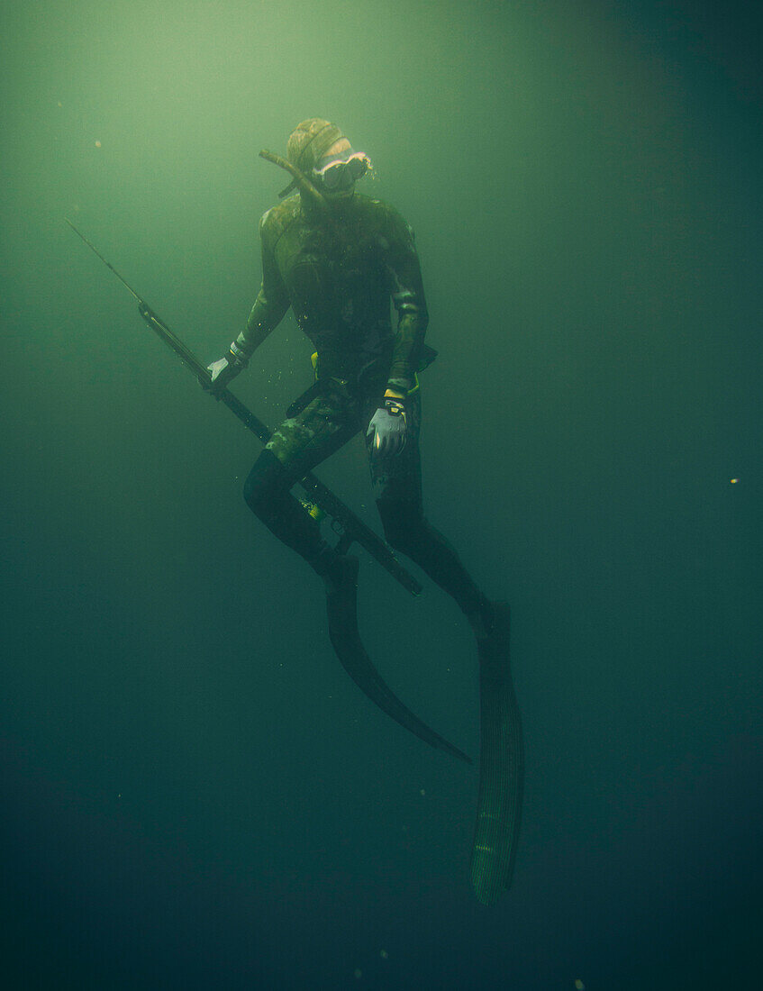 A spear fisher dives under water with his spear gun, looks for fishes.