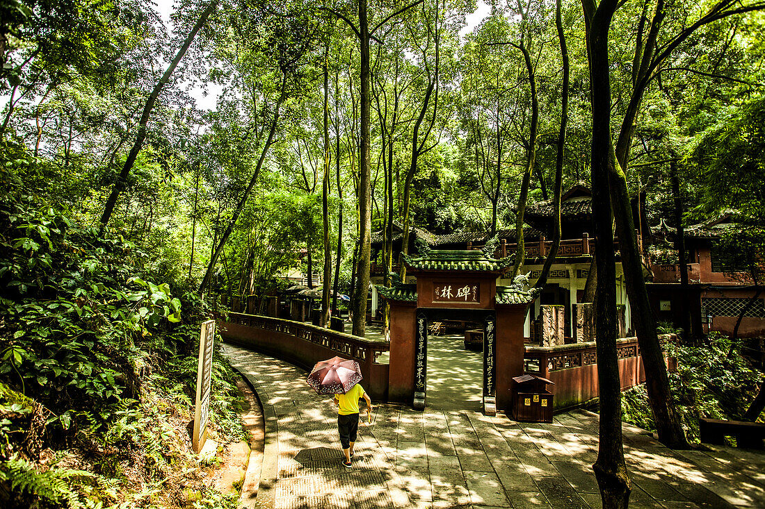 Walking through the forest with a temple to the side