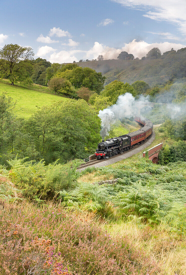 A steam locomotive approaching Goathland from Grosmont in September 2016, North Yorkshire, Yorkshire, England, United Kingdom, Europe