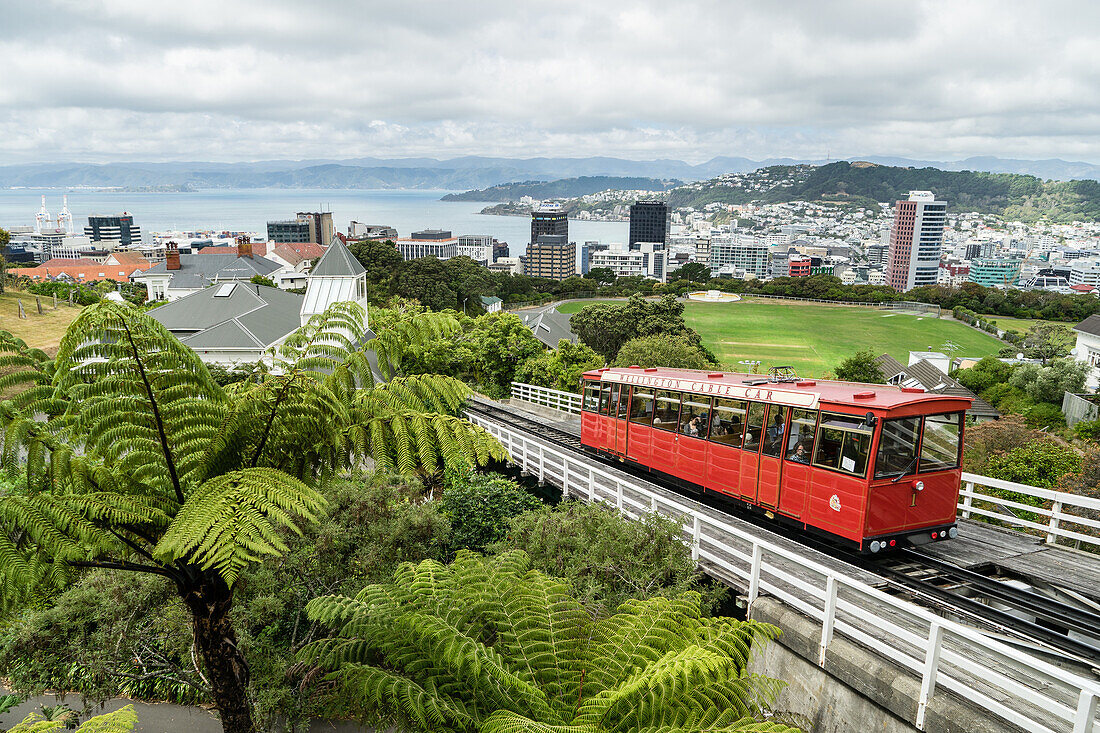 A cable car heads up the funicular railway high above Wellington, the capital city, North Island, New Zealand, Pacific