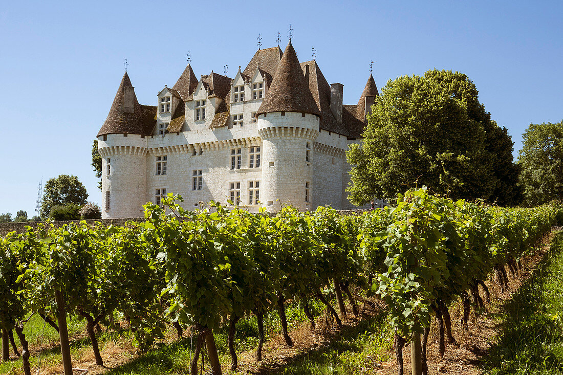 Chateau and Vineyard, Montbazillac, Dordogne, France, Europe