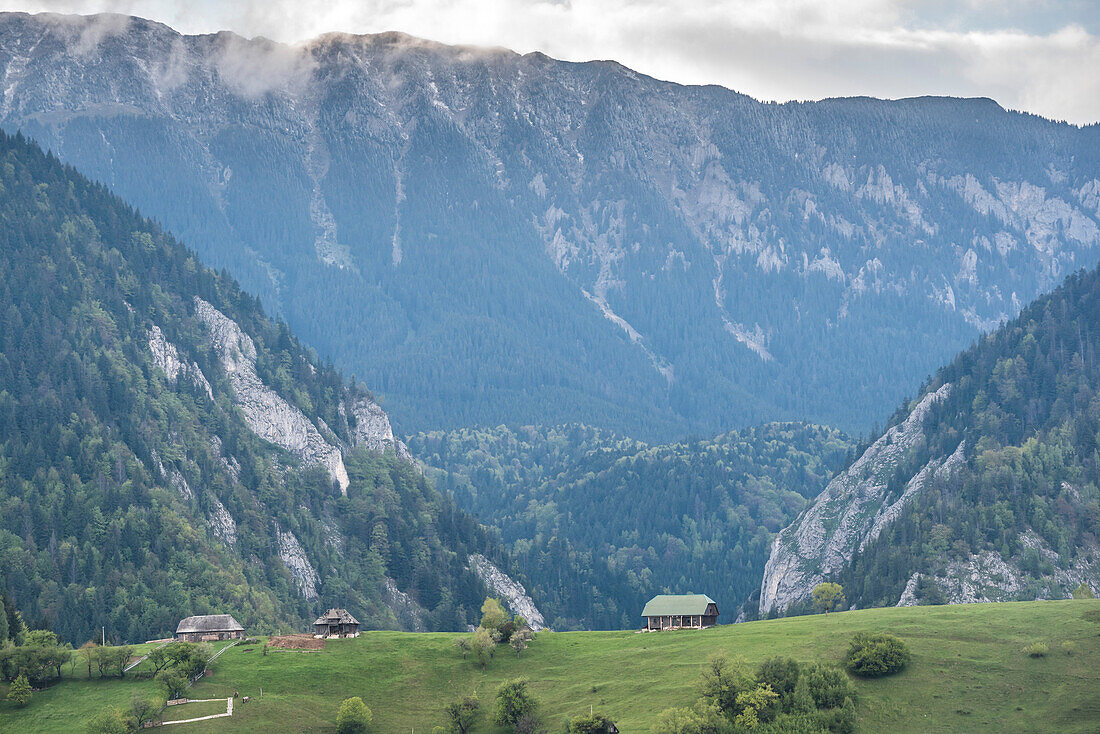 Romanian landscape in the Carpathian Mountains near Bran Castle at Pestera, Transylvania, Romania, Europe