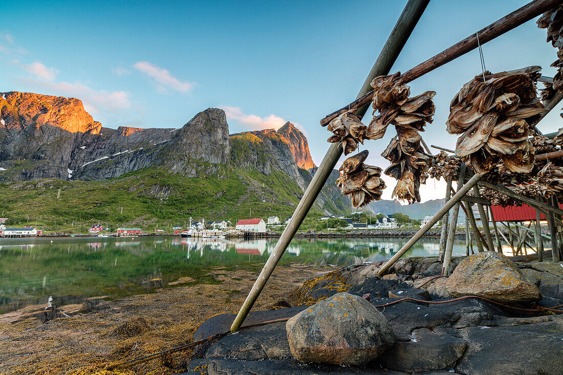 Midnight sun on dried fish framed by fishing village and peaks, Reine, Nordland county, Lofoten Islands, Arctic, Northern Norway, Scandinavia, Europe