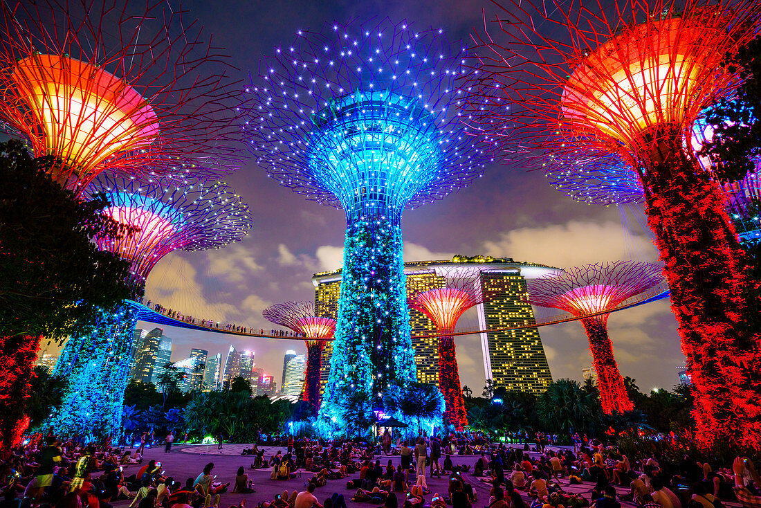 Supertree Grove in the Gardens by the Bay, a futuristic botanical gardens and park, illuminated at night, Marina Bay, Singapore, Southeast Asia, Asia