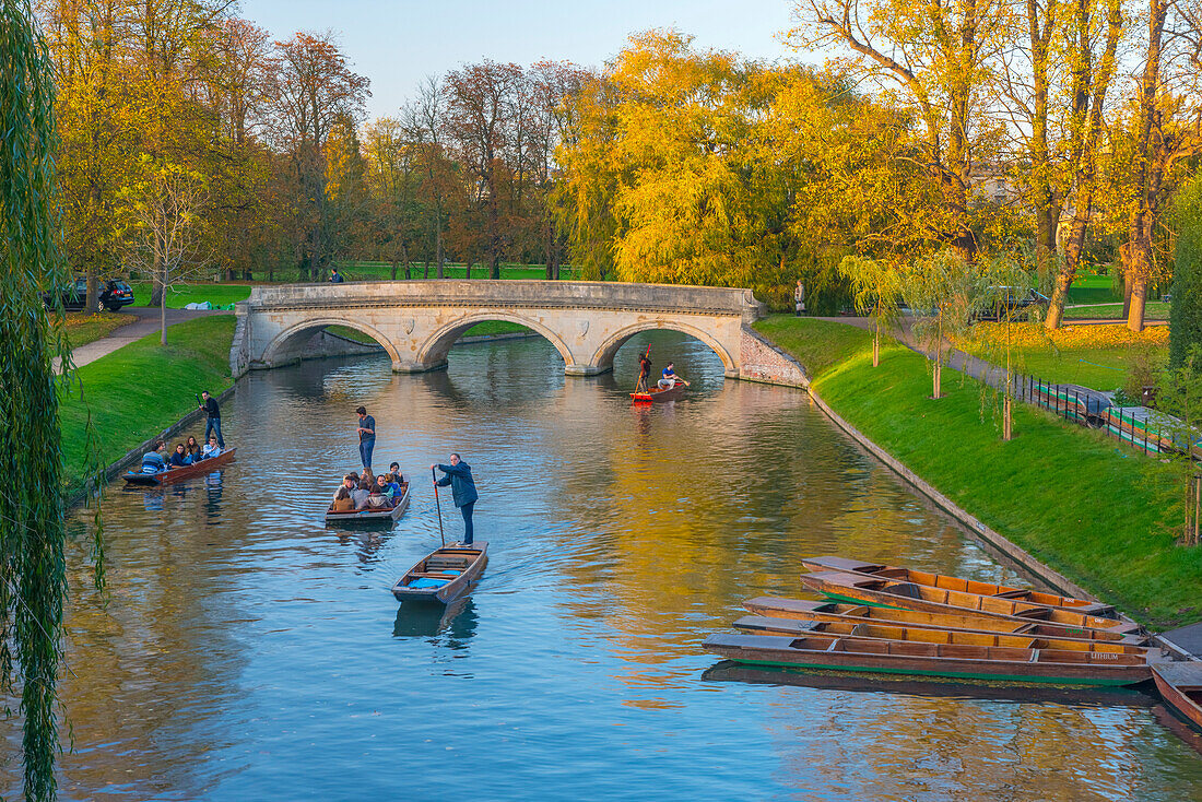 Punting on The Backs, River Cam, Cambridge, Cambridgeshire, England, United Kingdom, Europe