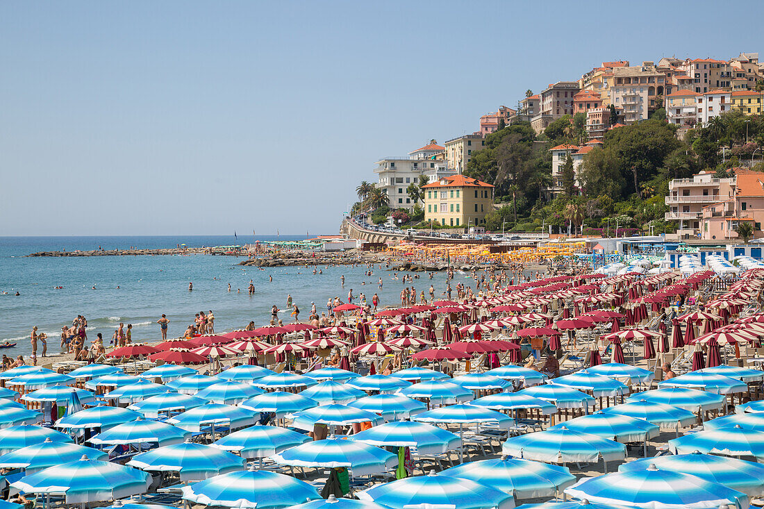 View of Imperia Harbour, Imperia, Liguria, Italy, Europe