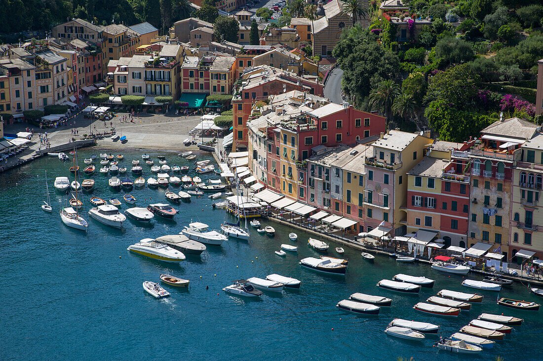 View of Harbour from Castle, Portofino, Genova (Genoa), Liguria, Italy, Europe