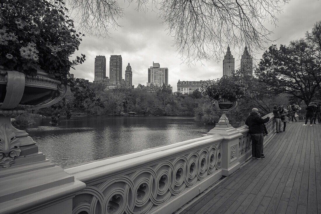 The Capstow Bridge in the Central Park, New York City, New York, USA
