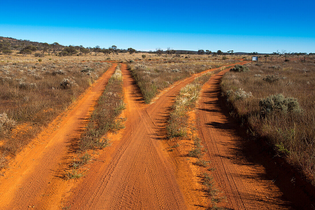 Track near Lake Geirdner, Lake Geirdner, Australia, South Australia
