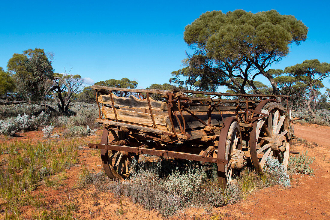 Alter Ochsenkarren an der Outbackstrasse nahe der Pondanna Ruinen, Pondanna Ruins, Südaustralien, Australien