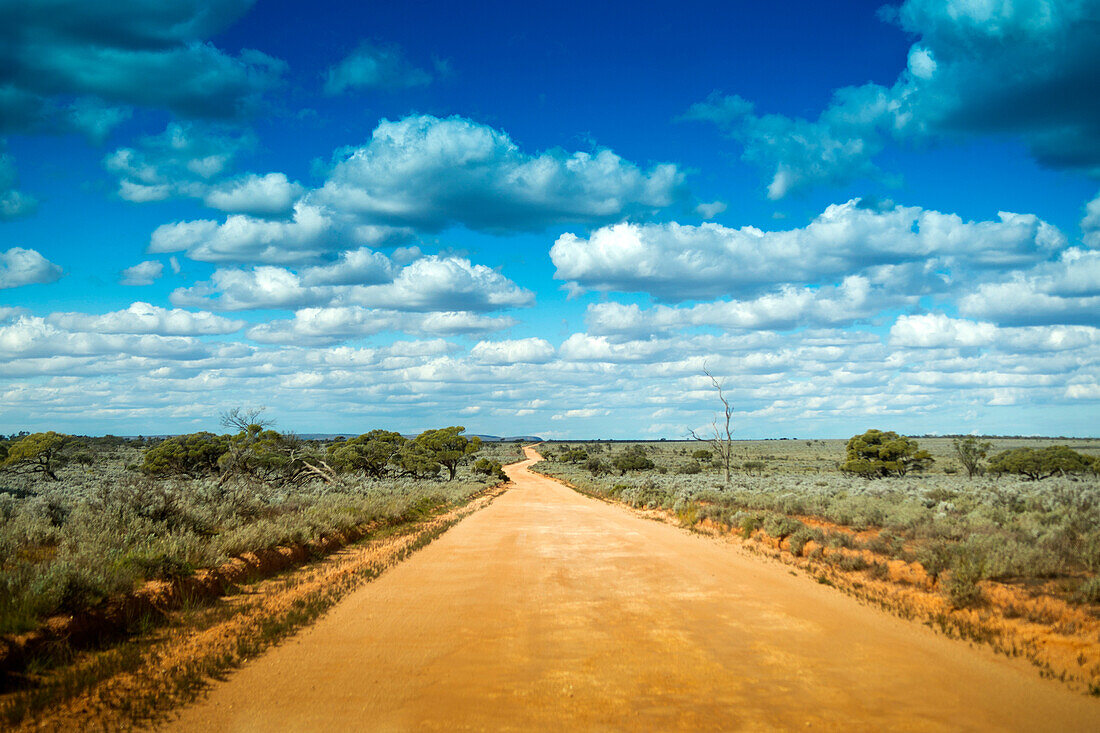 Outback road towards Iron Knob, near Iron Knob, Australia, South Australia