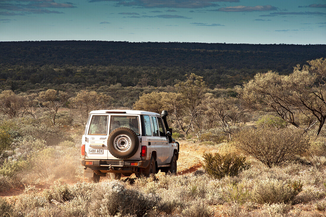 Das steinige Nordende des Goog's Track, Goog's Track, Südaustralien, Australien