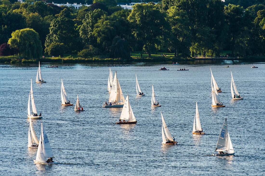 sailing boats on the Aussenalstery Hamburg, north Germany, Germany