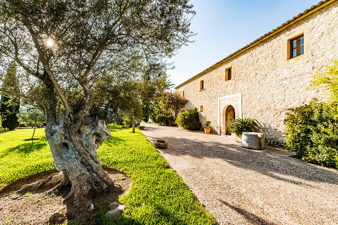 Finca Son Gener near Arta, Mallorca, Balearic Islands, Spain