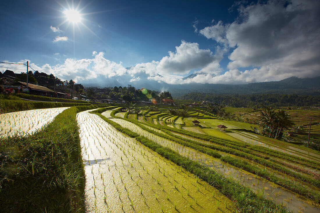 Rice terraces Jatiluweh, Bali, Indonesia