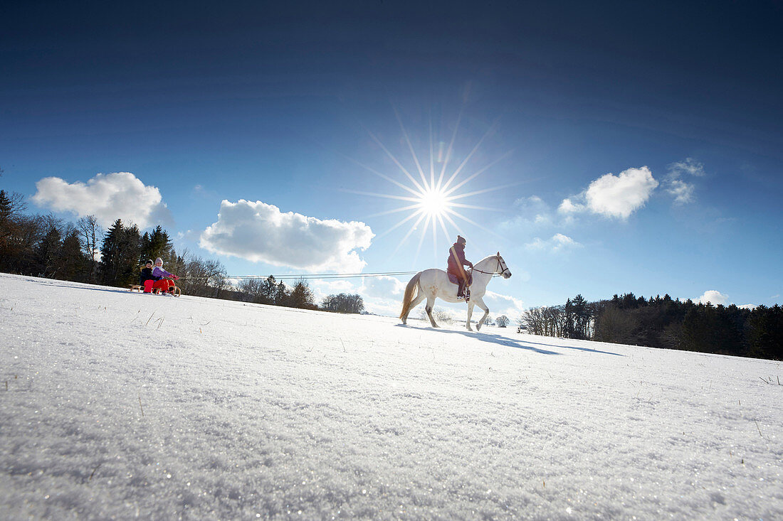 Mother on horse pulling children on sledge, Buchensee, Muensing, Bavaria Germany