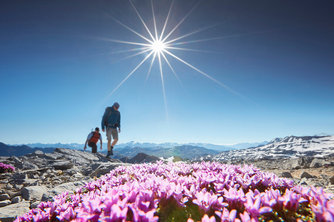 Hiker, Fourclada Rims 2940m, Sesvenna range between Unterengadin Switzerland and Vinschgau, Italy